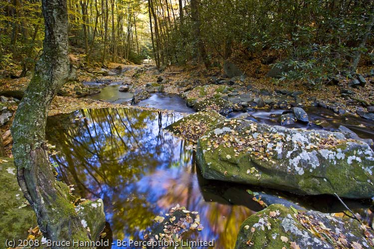 Autumn Reflections In Little River Bend